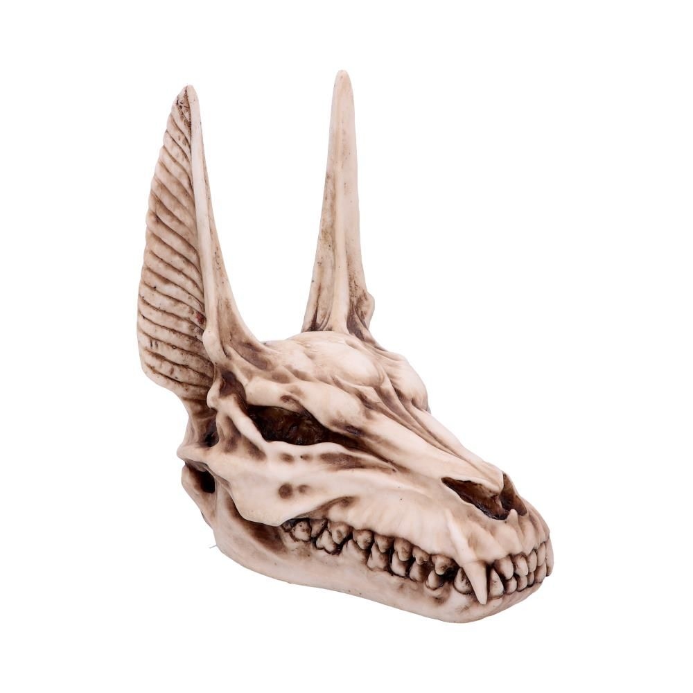 Nemesis Now - Anubis Skull Figurine - Crème